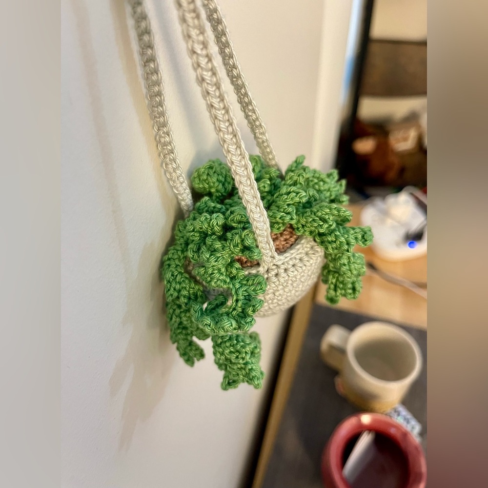 Handcrafted Crochet Hanging Plant Fern Decor Home Car Desk Accessory - Picture 5 of 8